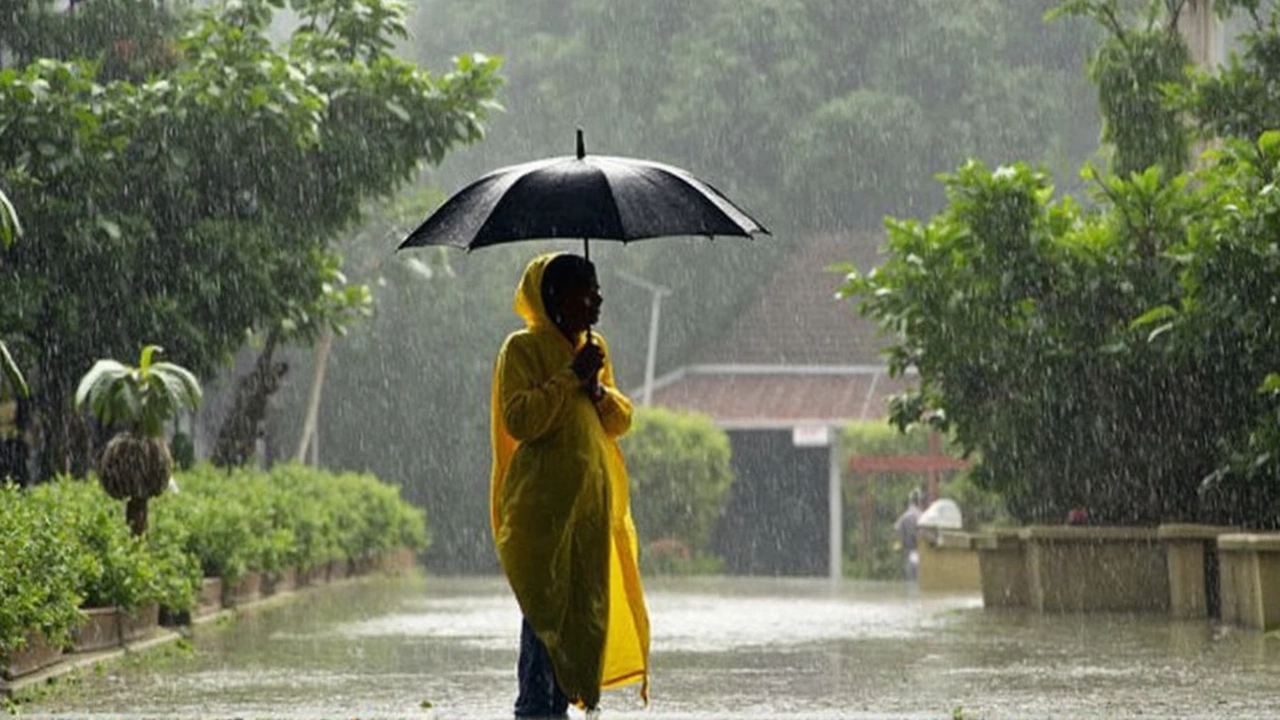 Delhi Weather in May 2025: Extreme Heat, Dry Spell, and Unrelenting Sun